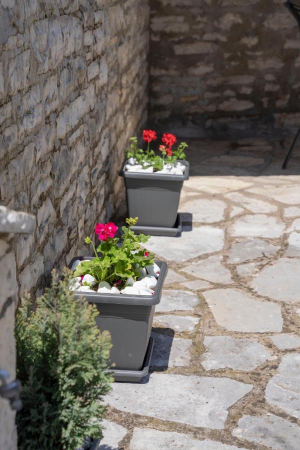 Zagori Home Monodendri Bagian luar foto